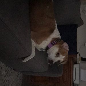 Meet your Posher, Deanna